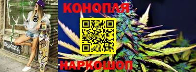индика Краснознаменск