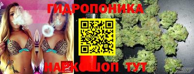 индика Краснознаменск